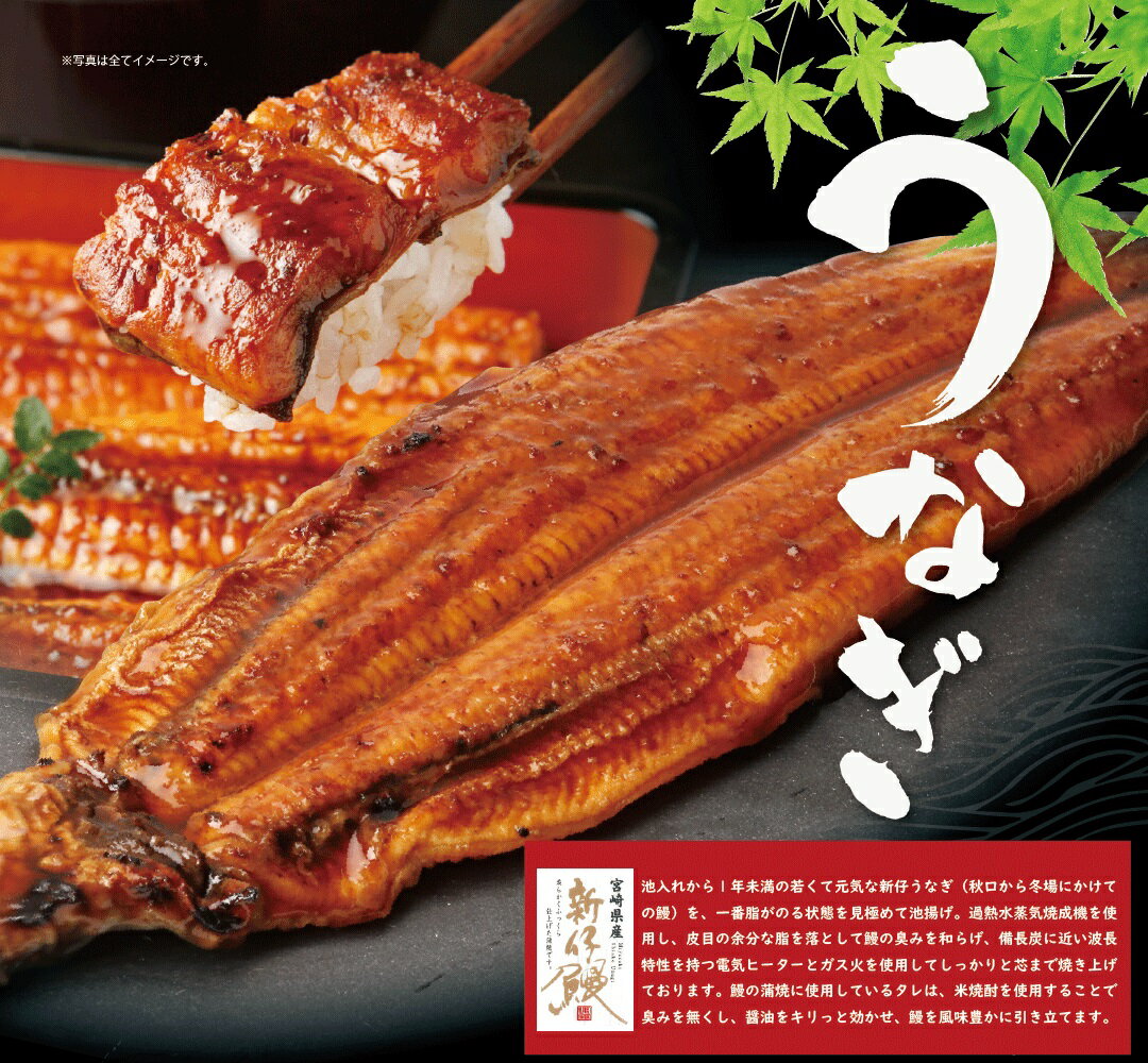 うなぎ（23日・24日お届け分のみ注文可能)