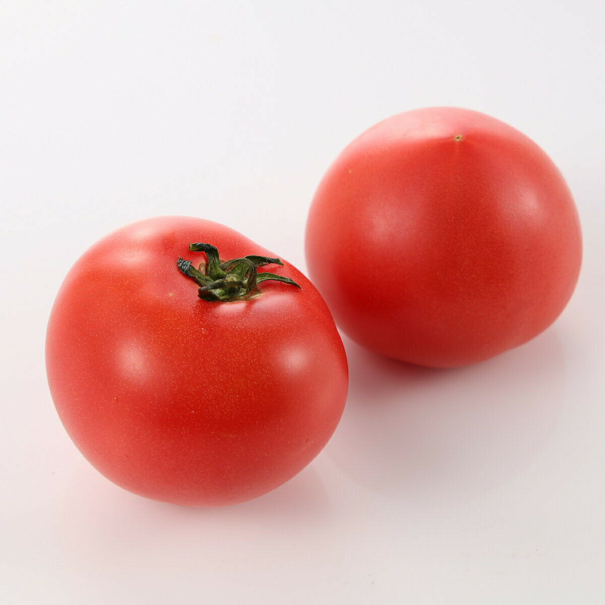 トマト様の専用ページ トマト様オーダーページ トマト様専用 トマトさま専用 トマト 麗