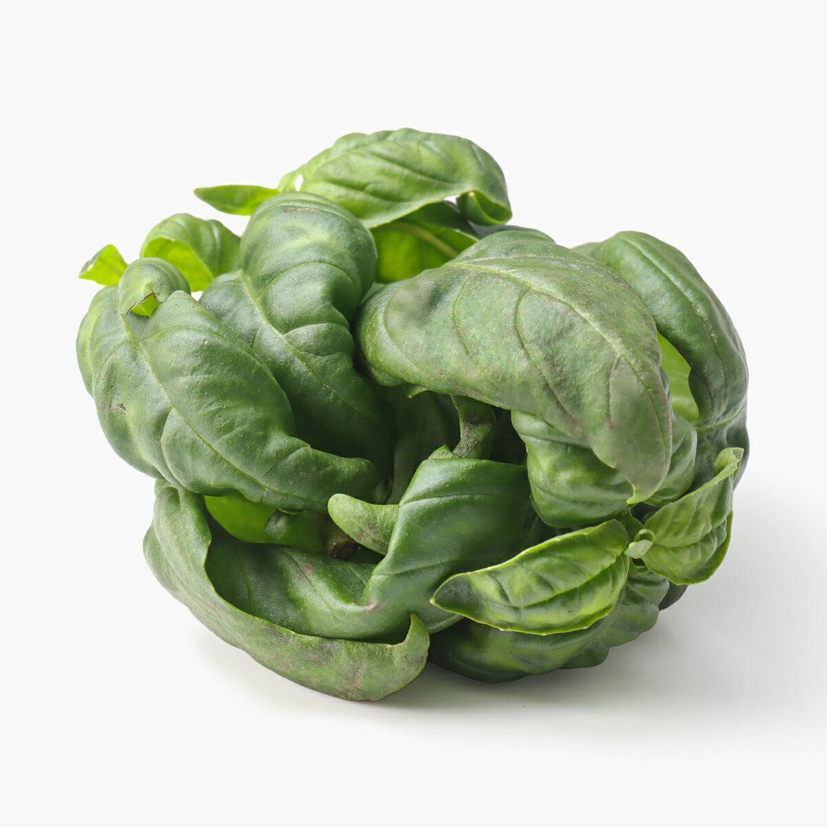 バジル｜ベイシアネットスーパー｜楽天全国スーパー