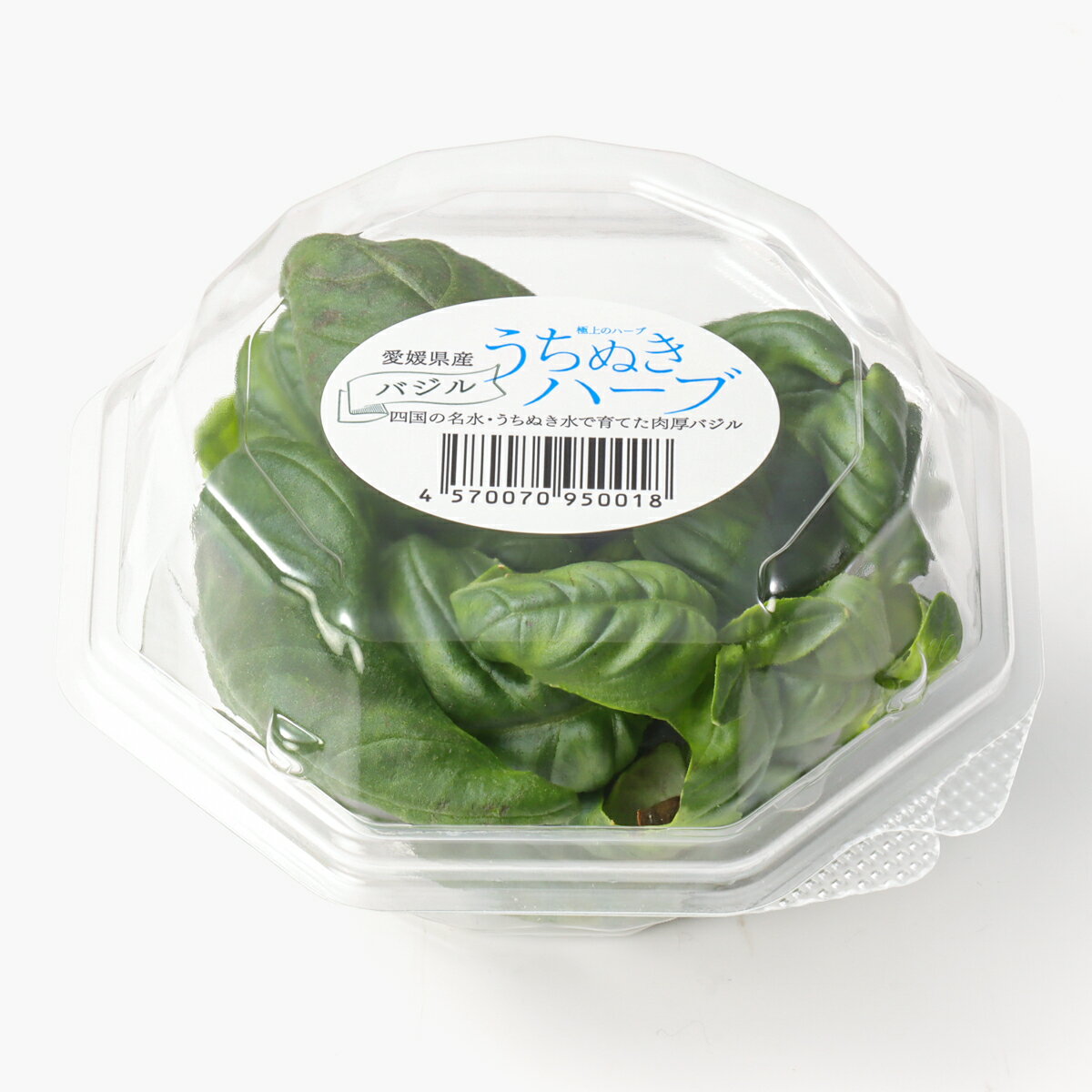 バジル商品です♪ Amazon.co.jp: Z/X ゼクス カード 妖精姫バジル (SR) / 五神竜の巫女