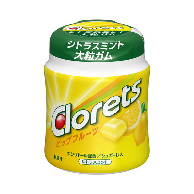 クロレッツ ビッグフルーツシトラスミントボトル｜ベイシアネット