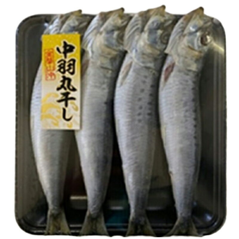 真いわし丸干し｜ベイシアネットスーパー｜楽天全国スーパー