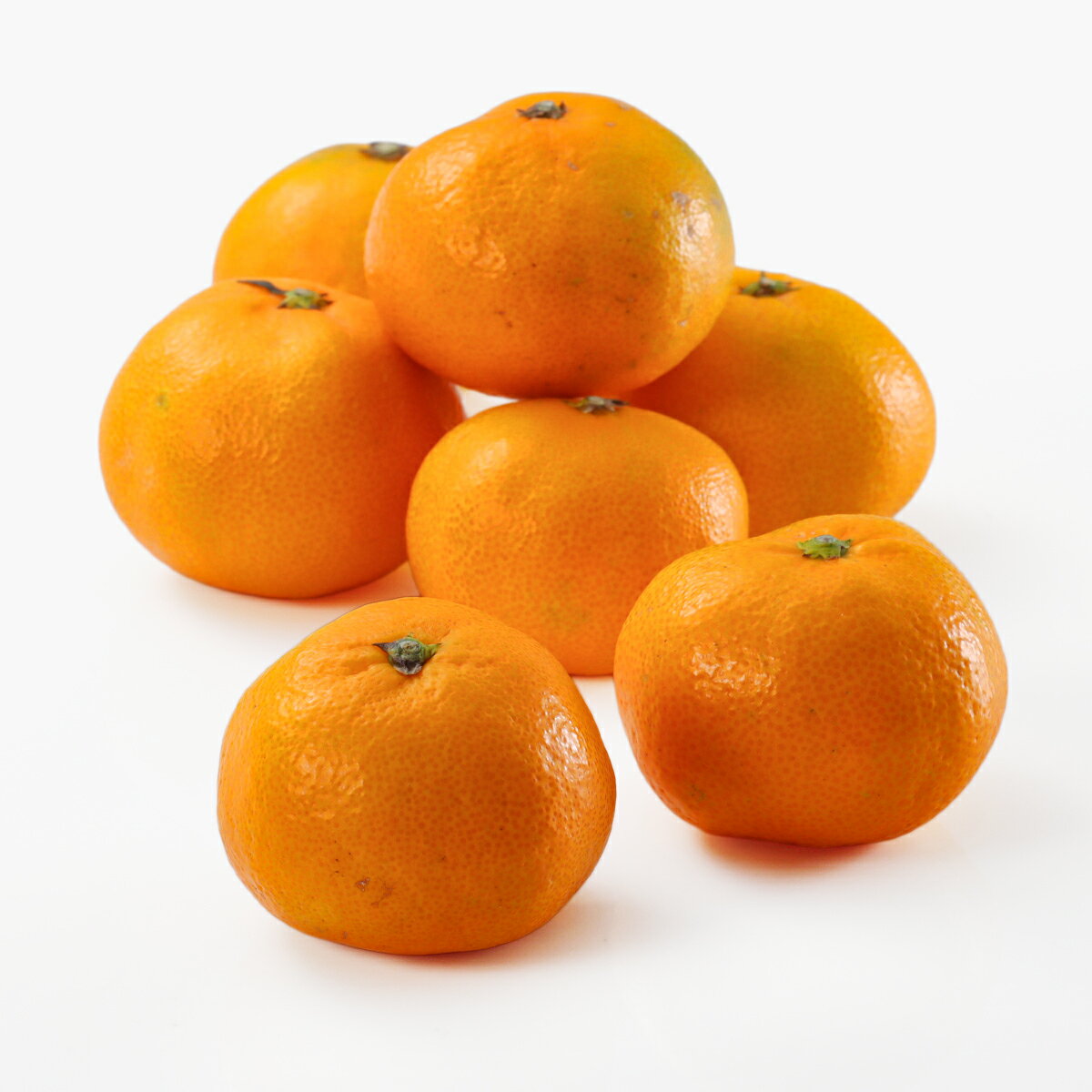 みかん｜ベイシアネットスーパー｜楽天全国スーパー