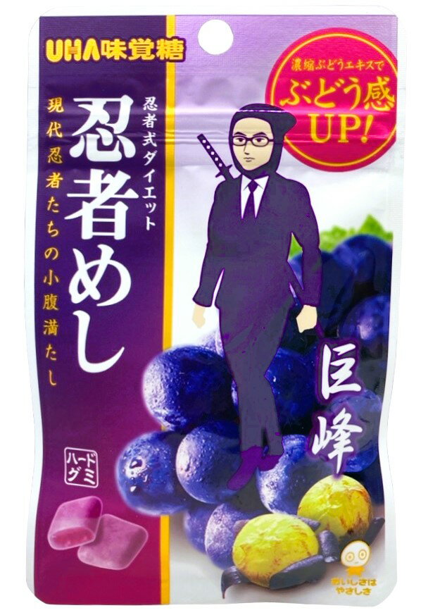 忍ぶ糸 　※価格見直しを実行しました。 フィギュア専門店 -ソダチトイズ / 予約 SKY X STUDIO 忍者戦士飛影