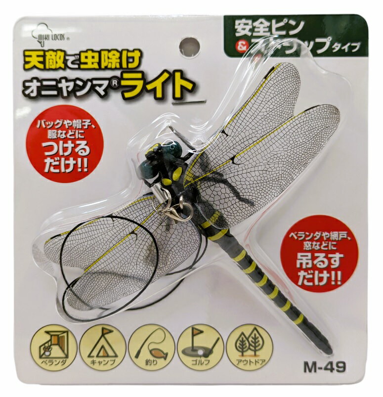 山ノ仙人虫 タンザニア産 Proagoderus loricatus ♂ 12mm | 昆虫標本