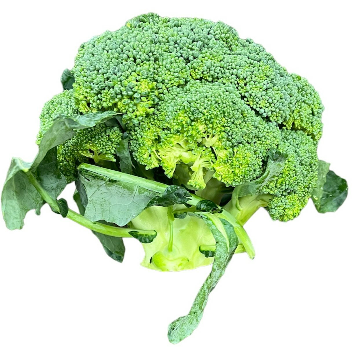 ブロッコリー｜エレナネットスーパー｜楽天全国スーパー