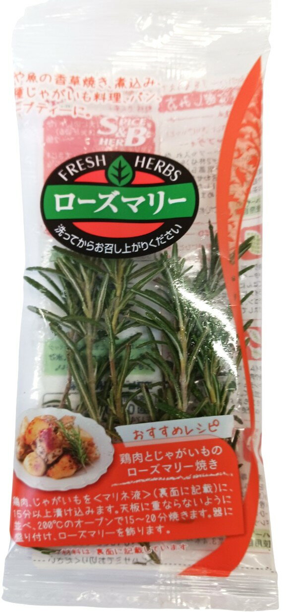 2個まとめ買い ローズマリー Amazon.co.jp: ハーブ苗 ローズマリー スピーディー 2個セット