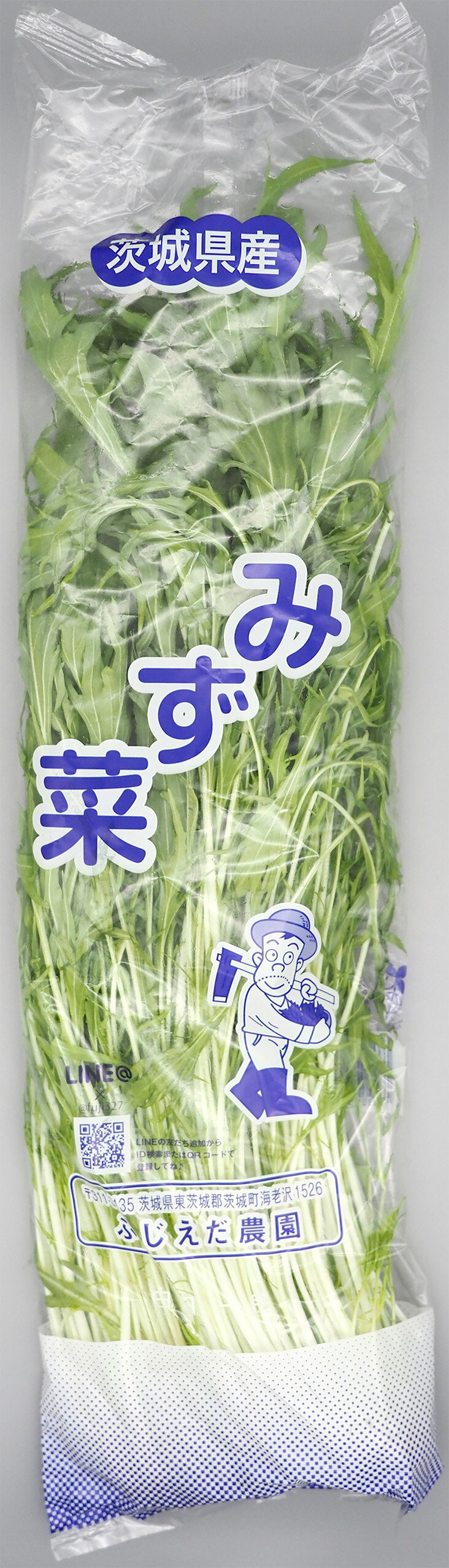 水菜｜フードマーケットマム ネットスーパー｜楽天全国スーパー