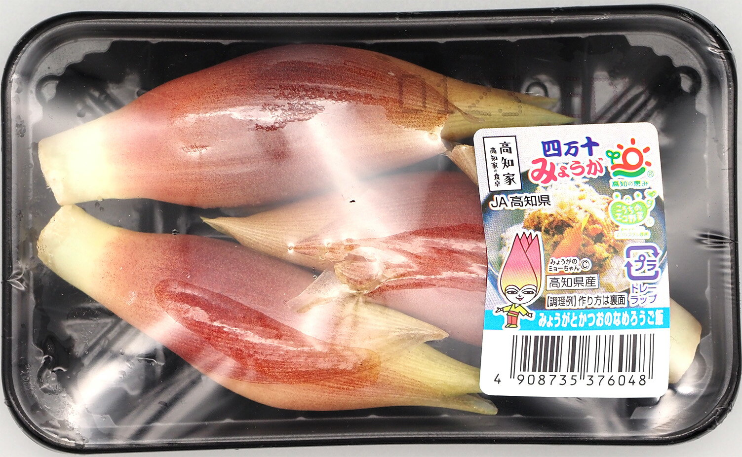 みょうが｜フードマーケットマム ネットスーパー｜楽天全国スーパー