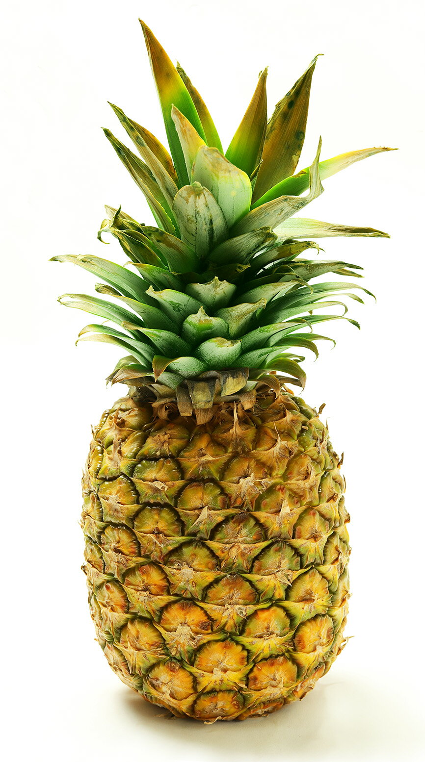 パイン確認ページ パイナップル｜フードマーケットマム ネットスーパー｜楽天全国スーパー