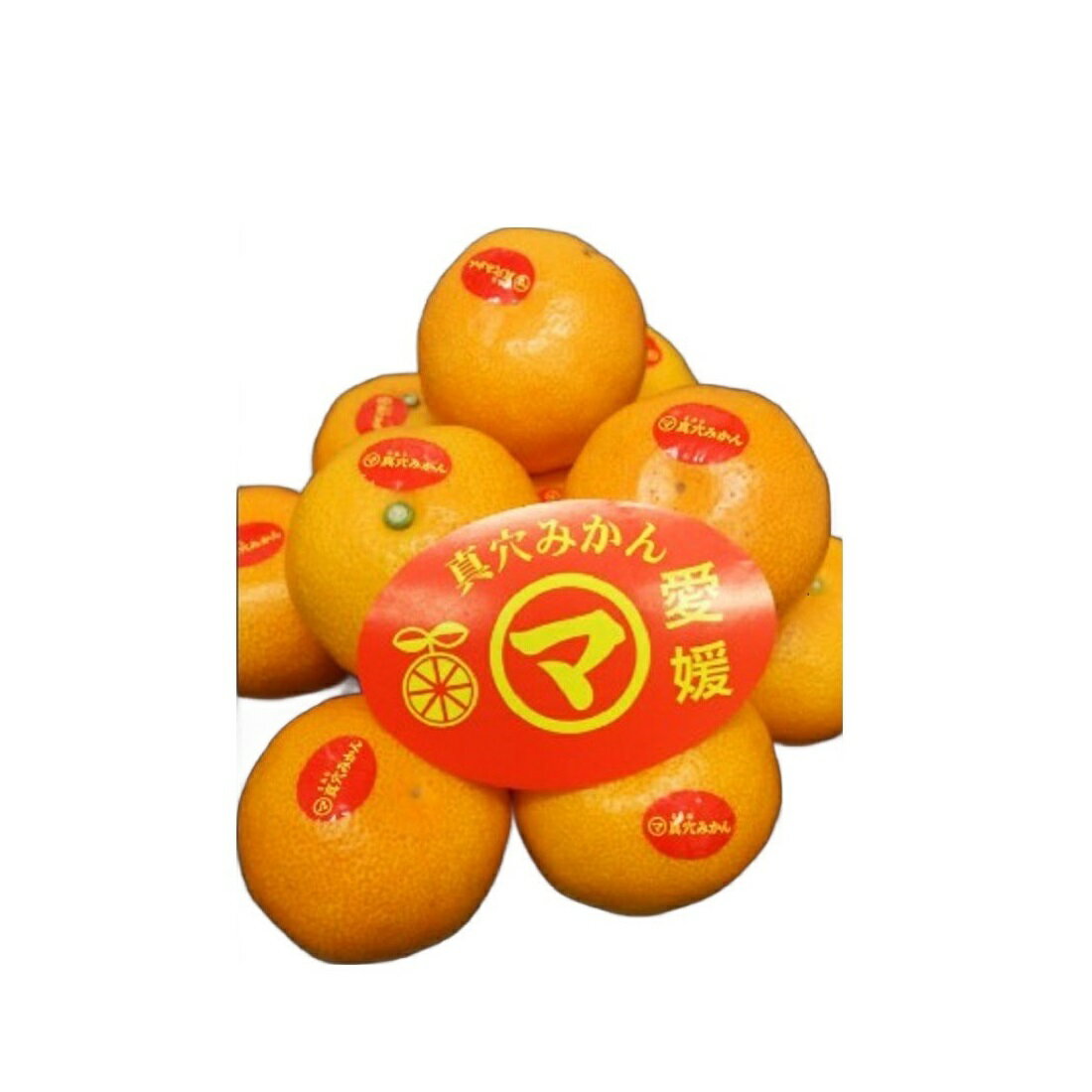 専用♥みかん♥暖か⭐ゆったり大人★Wボア★ネックウォーマー⭐ 真穴みかん｜いなげやネットスーパー｜楽天全国スーパー