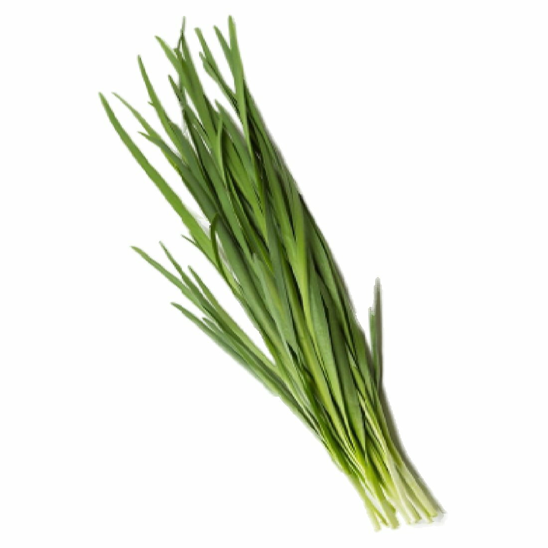 にら｜いなげやネットスーパー｜楽天全国スーパー