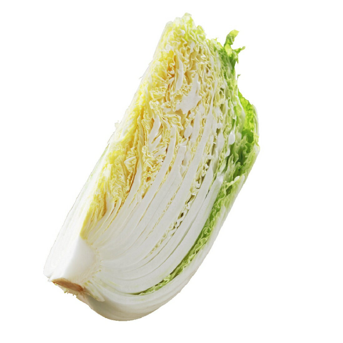白菜1／4切｜いなげやネットスーパー｜楽天全国スーパー