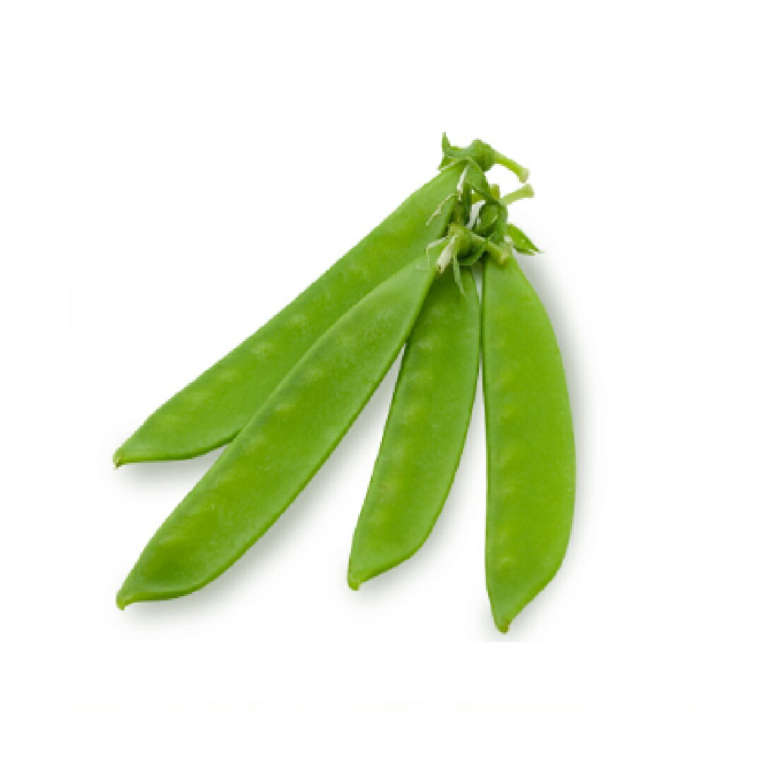 さやえんどう スゴ得】さやえんどう しお味｜西友ネットスーパー｜楽天全国スーパー