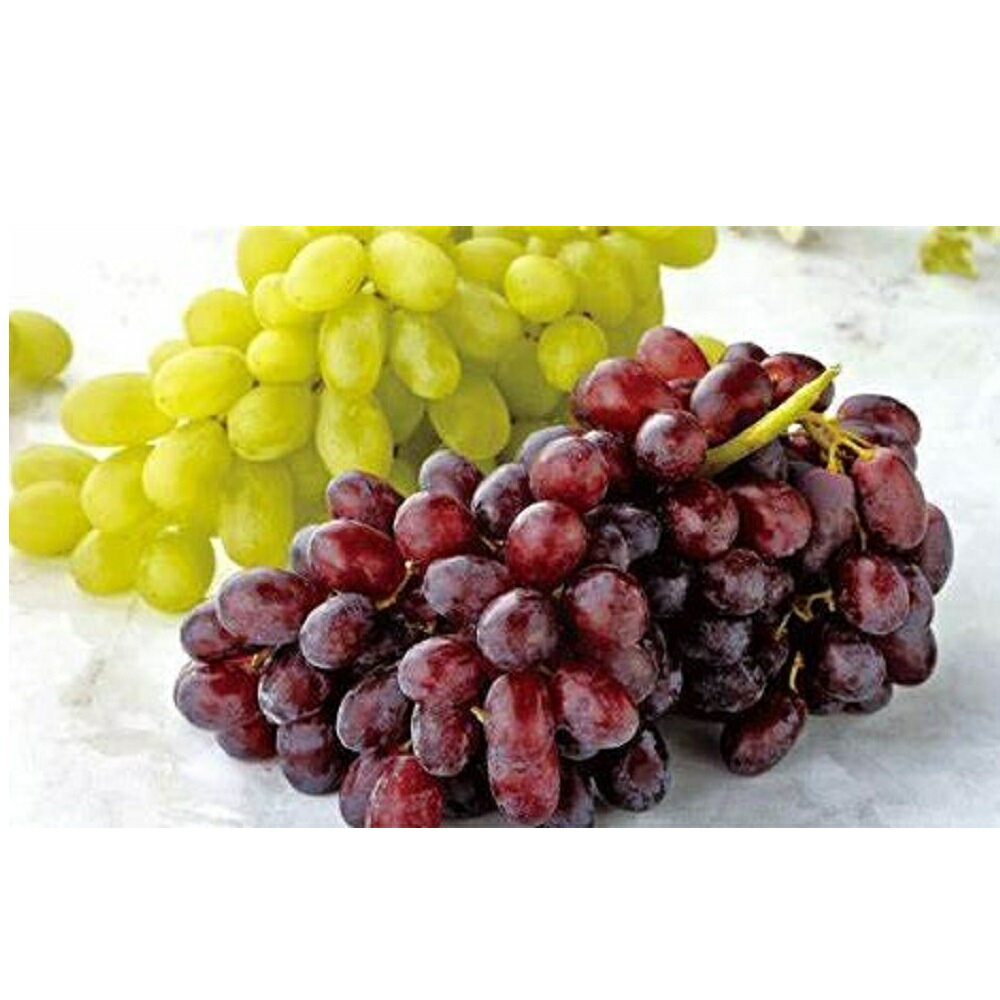 種なしぶどう（ミックス）｜いなげやネットスーパー｜楽天全国スーパー