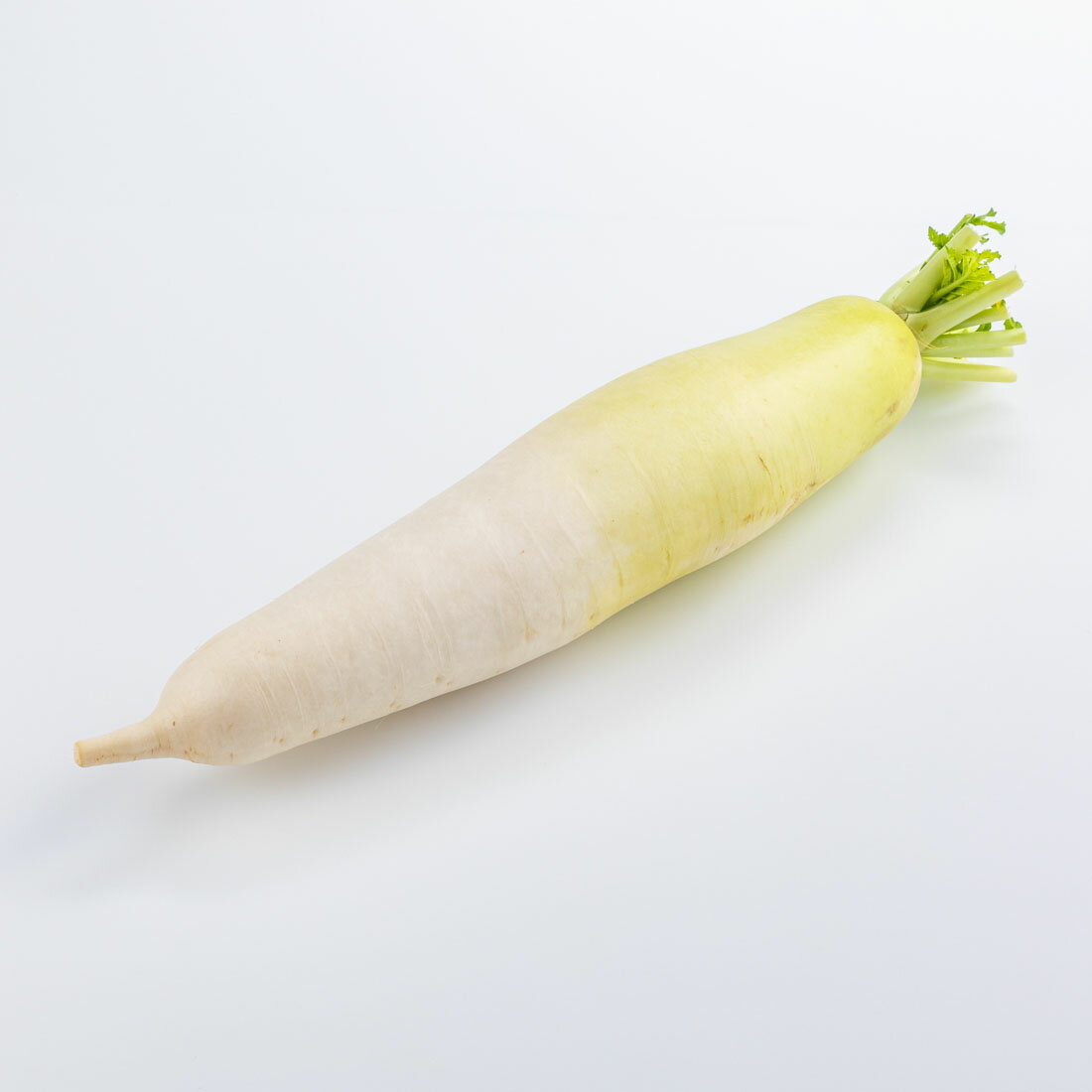 大根｜大阪屋ショップネットスーパー｜楽天全国スーパー