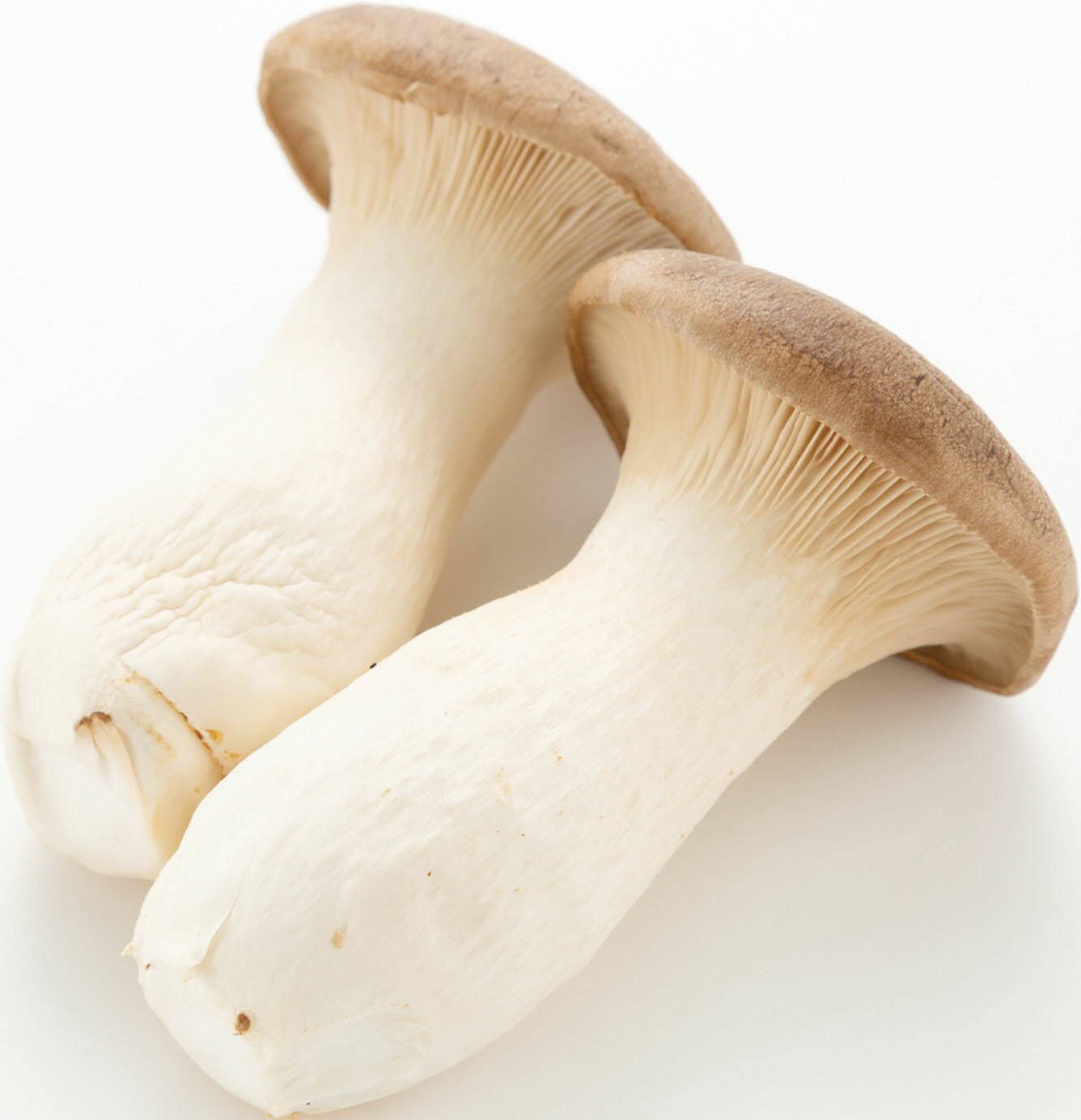 エリンギ｜大阪屋ショップネットスーパー｜楽天全国スーパー