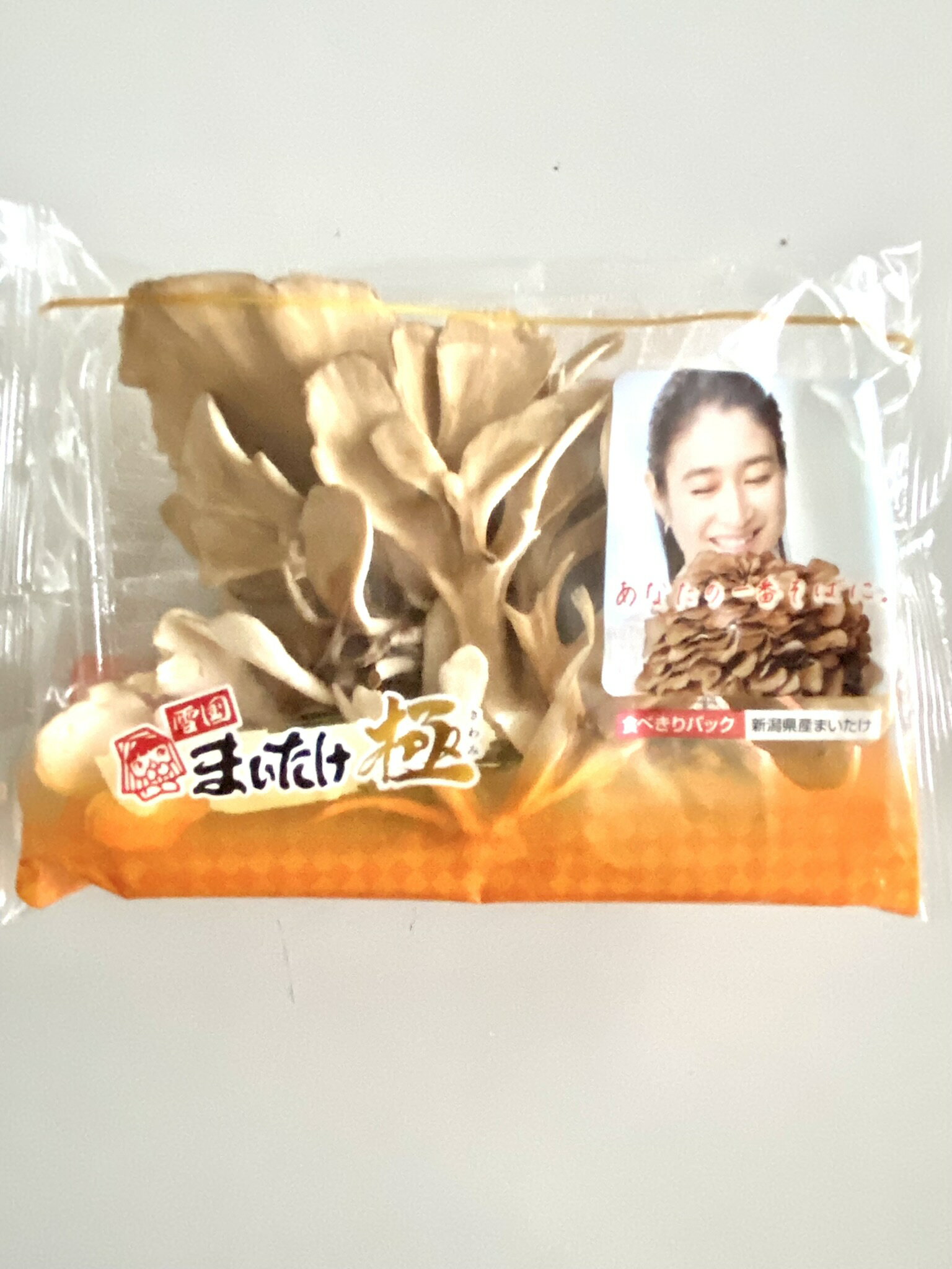 ラッカ庵野　33枚 宝月堂 砂の丘 鹿野町産生姜 和風クッキー 1パック（15コ入