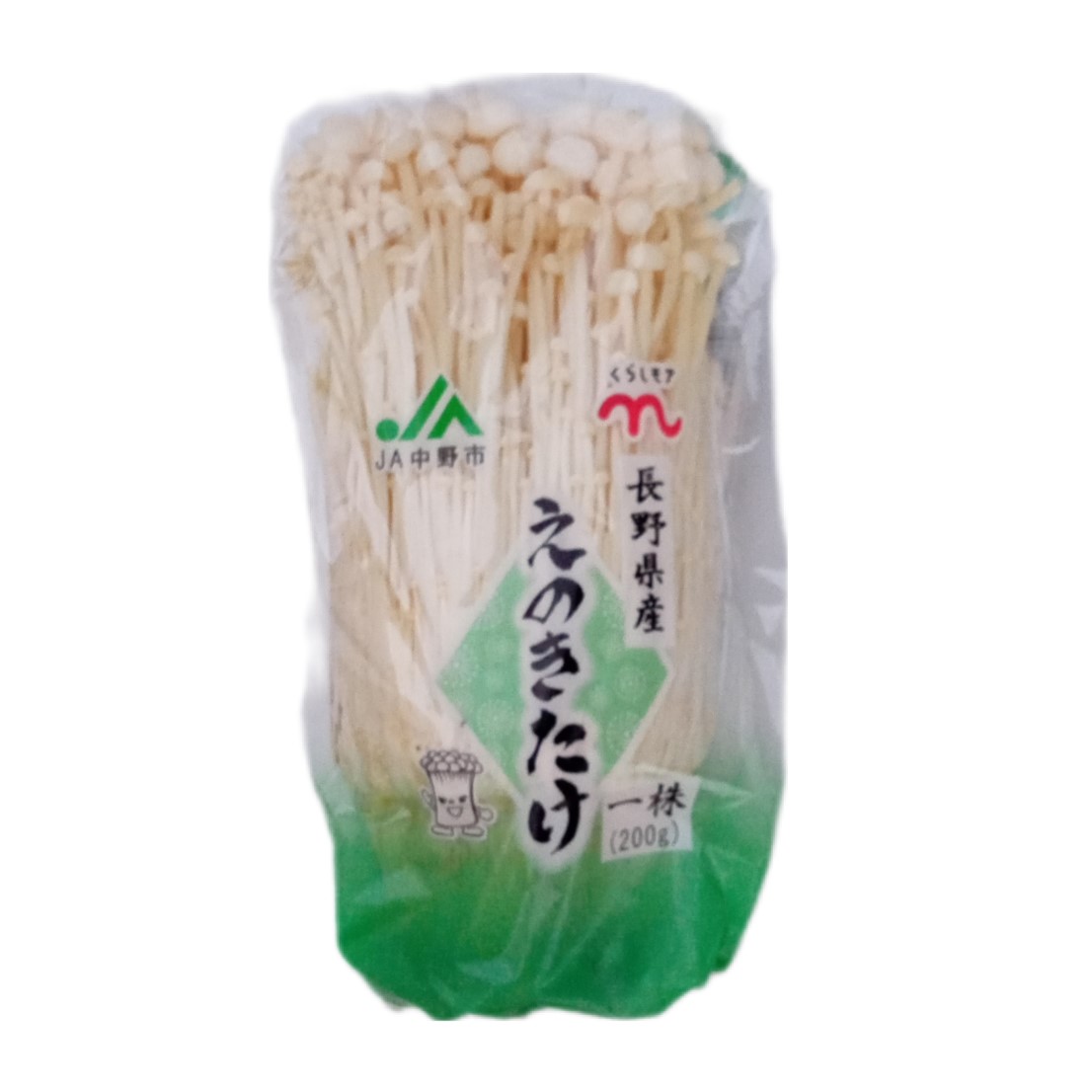 きのこ種駒】キノックス 中低温種「しいたけS32号」種駒 10000駒