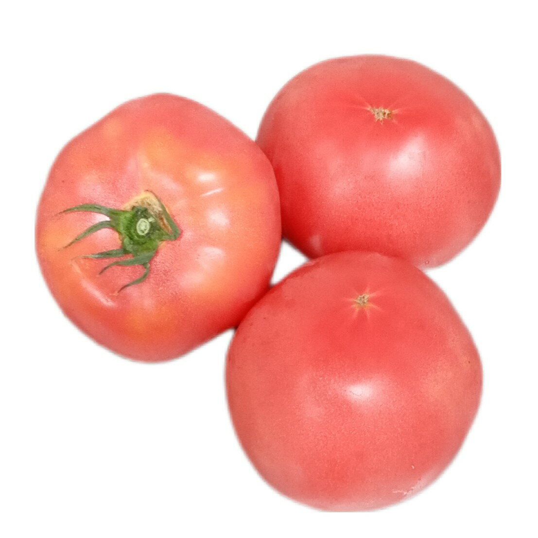 4922344000330.jpg
