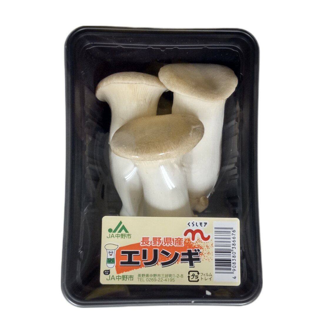エリンギ｜両備まごころネットスーパー｜楽天全国スーパー