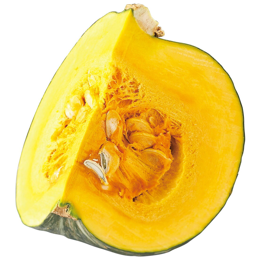 かぼちゃ☆ カボチャ 雪化粧 4月中～下旬発送予定｜種（タネ）,球根,苗,資材