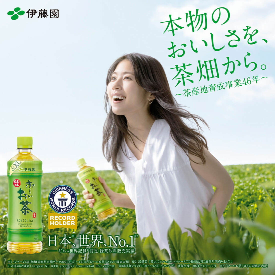 ★Kazukiyo様★ユーカリラディアタ有機　グリーンティー お茶のマルキョウ商店