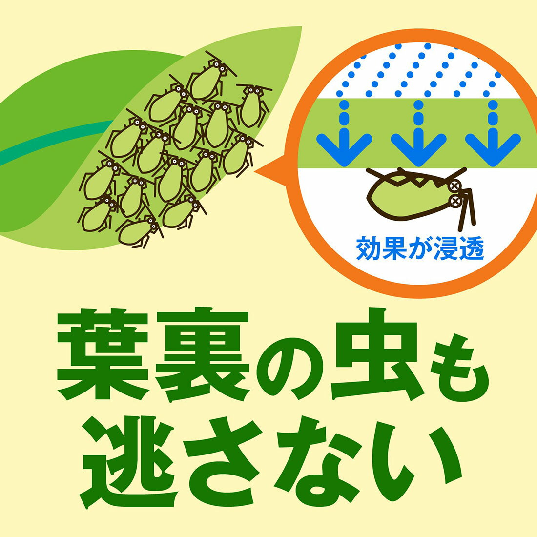 野菜うまし｜西友ネットスーパー｜楽天全国スーパー