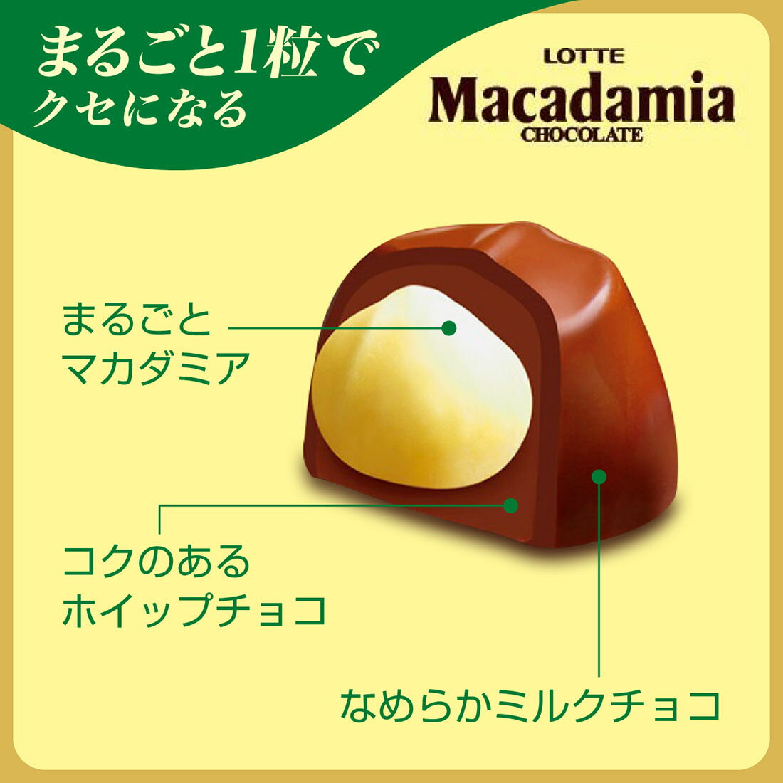 マカダミアチョコレート｜西友ネットスーパー｜楽天全国スーパー