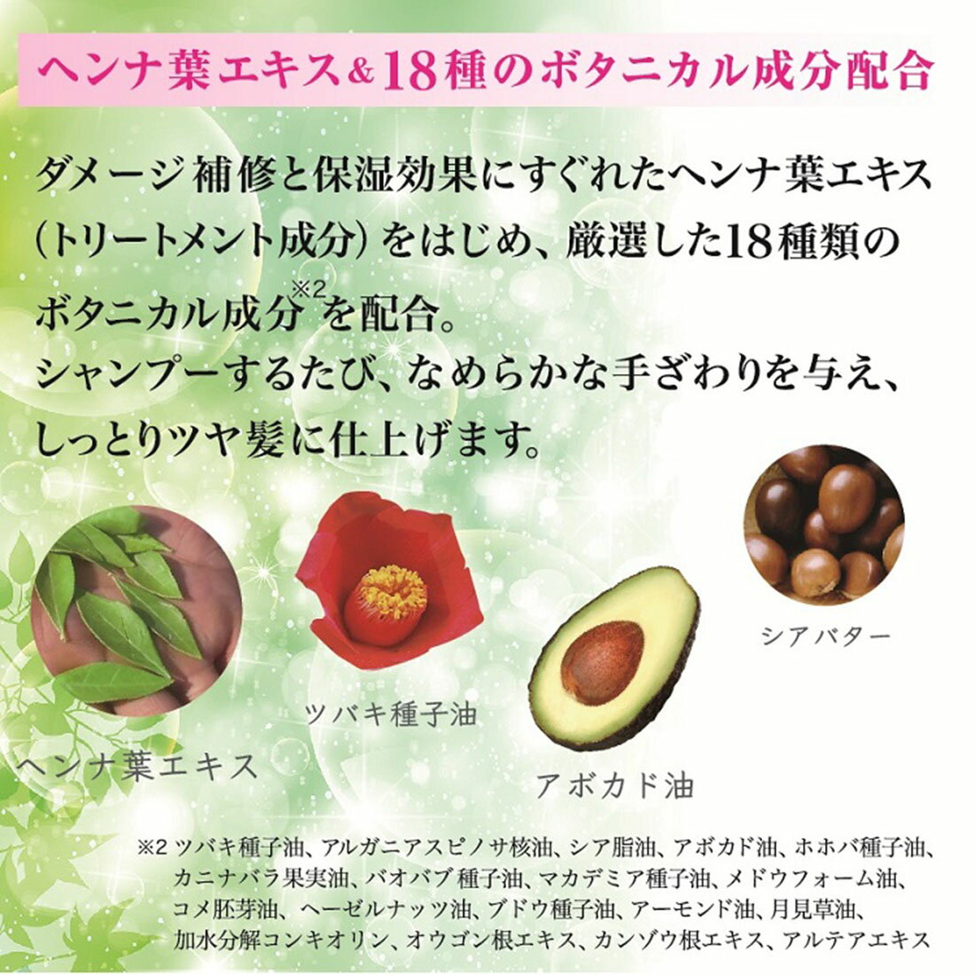 テンスター カラーシャンプー ダークブラウン｜西友ネットスーパー