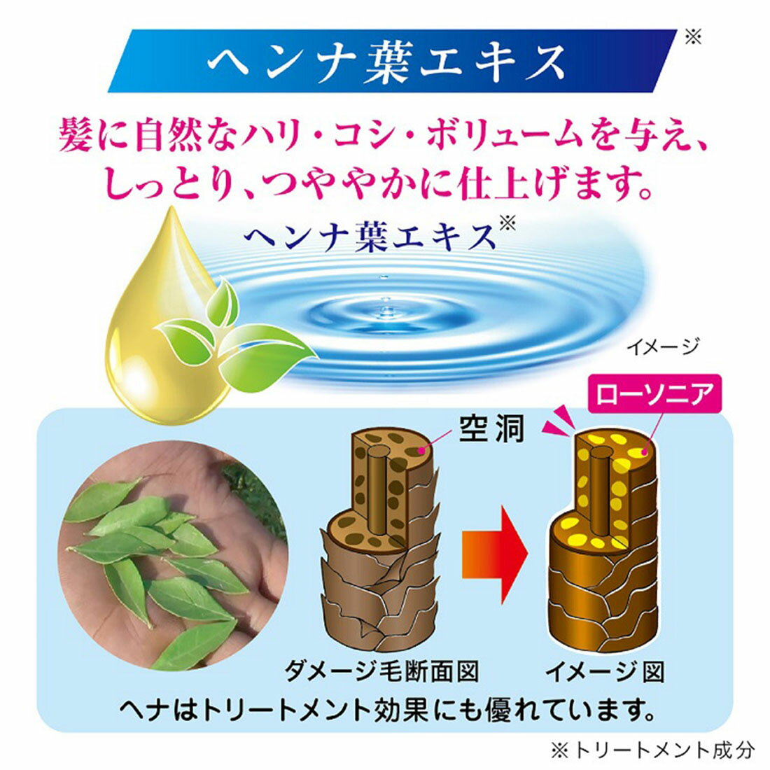 ダークブラウン カラーシャンプー 2個セット 三宝商事 テンスター カラーシャンプー ダークブラウン 300ml