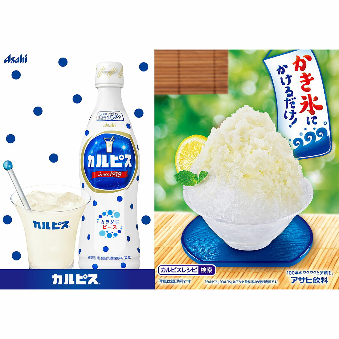 カルピス｜西友ネットスーパー｜楽天全国スーパー