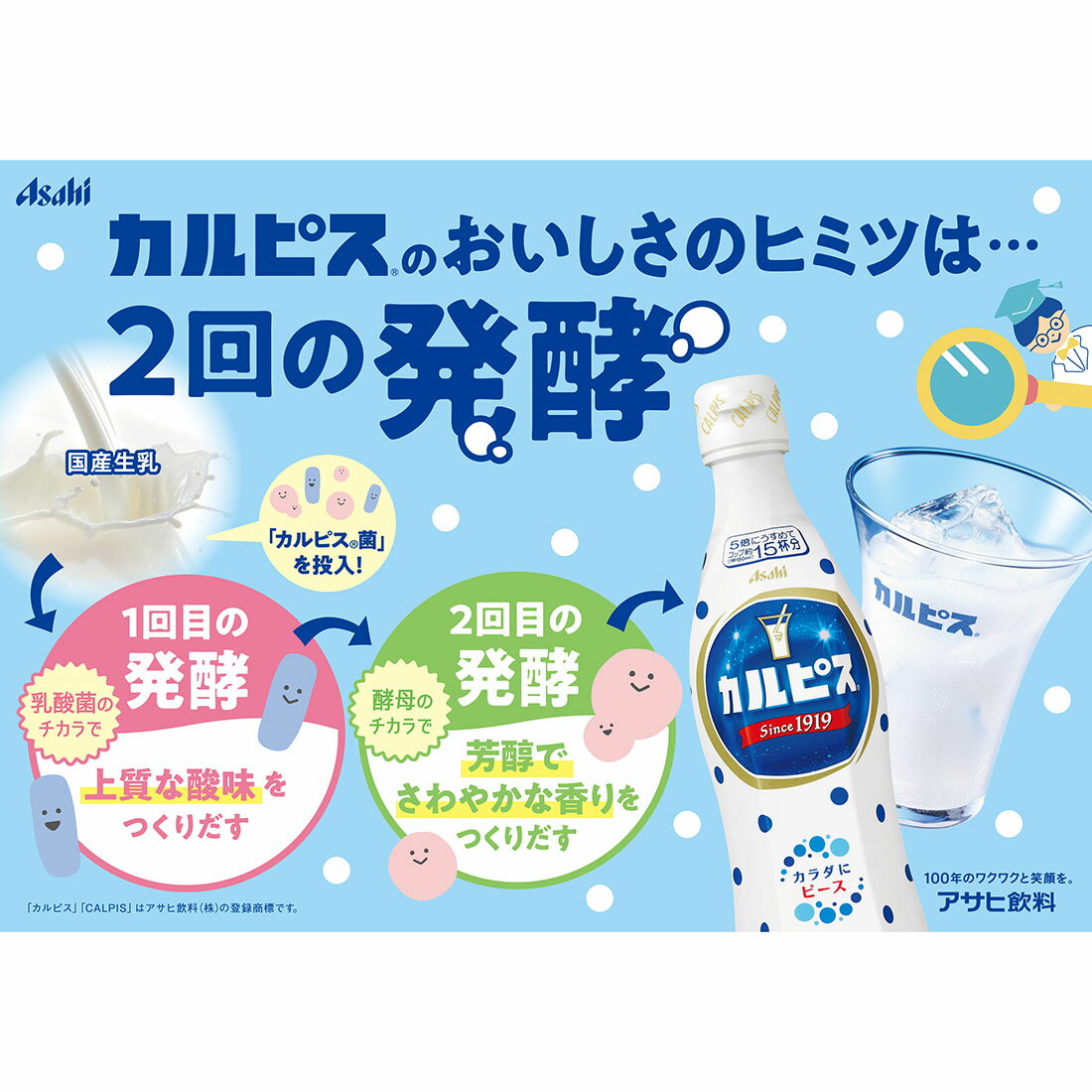 カルピス｜西友ネットスーパー｜楽天全国スーパー