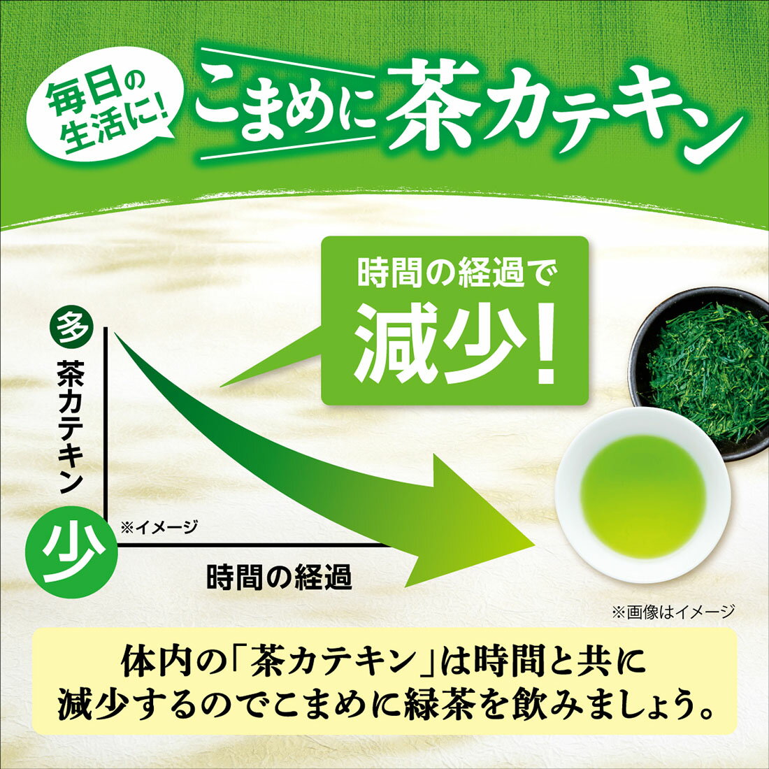 ホームサイズ 緑茶｜西友ネットスーパー｜楽天全国スーパー