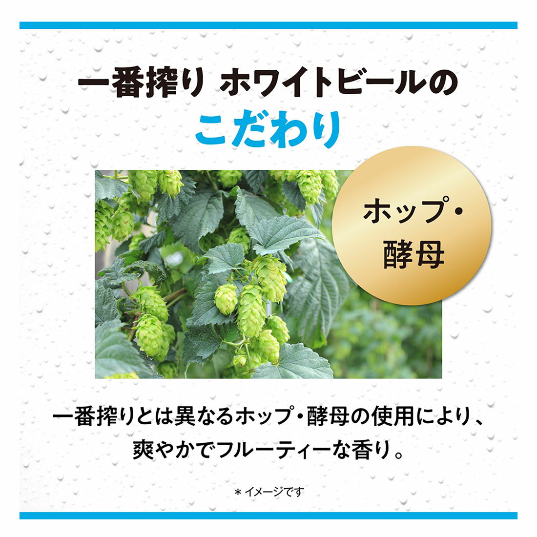 スゴトク】一番搾り ホワイトビール｜西友ネットスーパー｜楽天全国