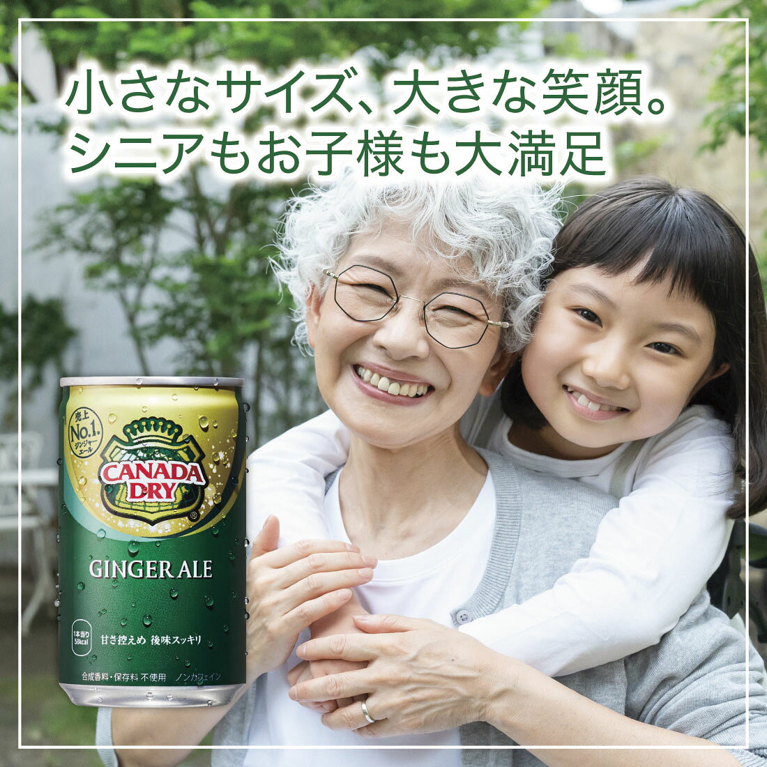 green　ミネラルオリジナル、ジンジャー新品未使用 カナダドライ ジンジャーエール｜西友ネットスーパー｜楽天全国スーパー