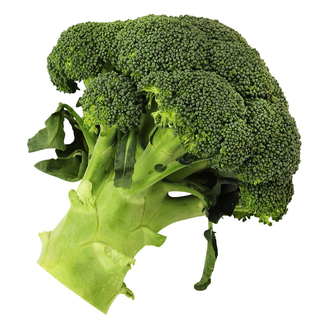 ブロッコリー(国産)｜西友ネットスーパー｜楽天全国スーパー