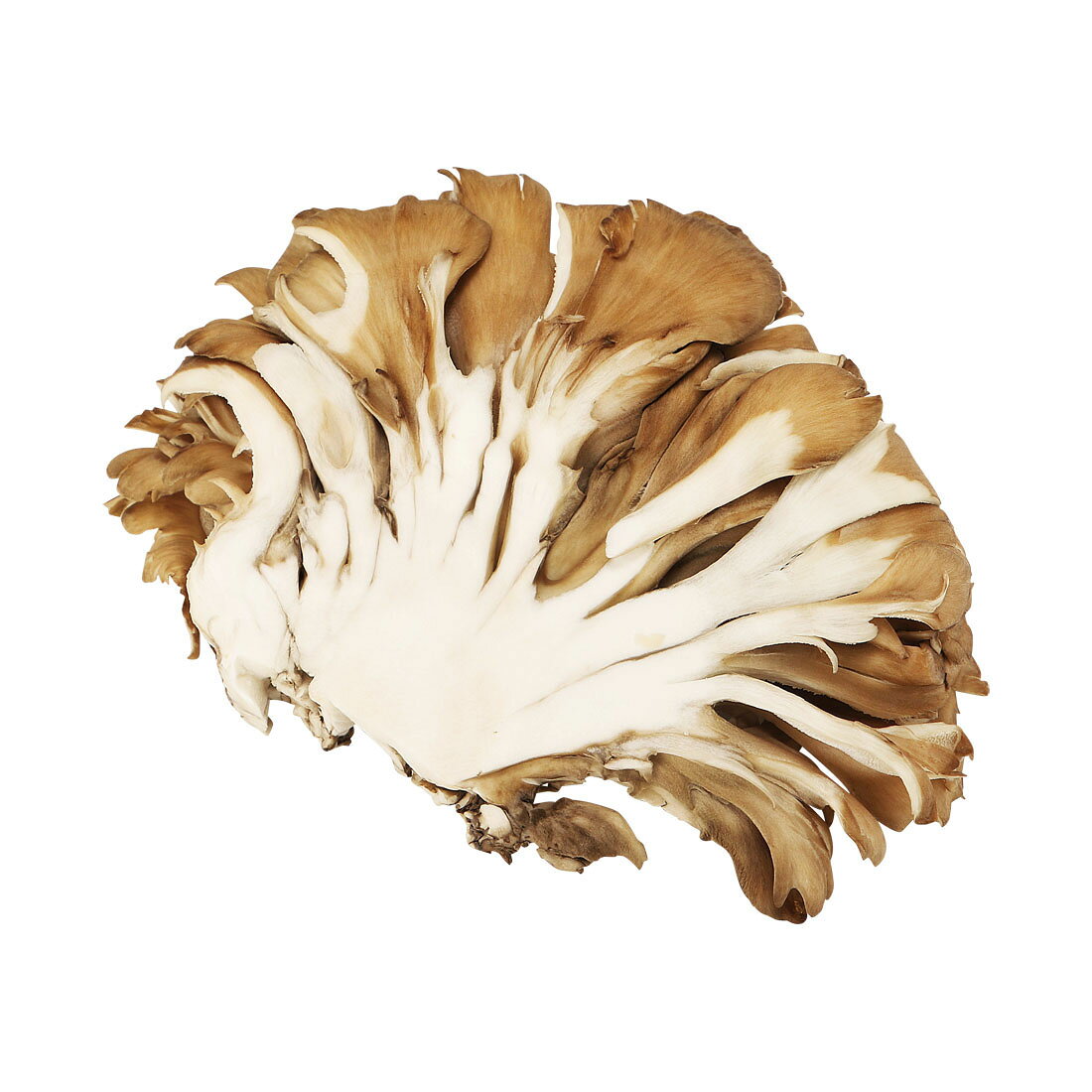 食の幸]舞茸｜西友ネットスーパー｜楽天全国スーパー