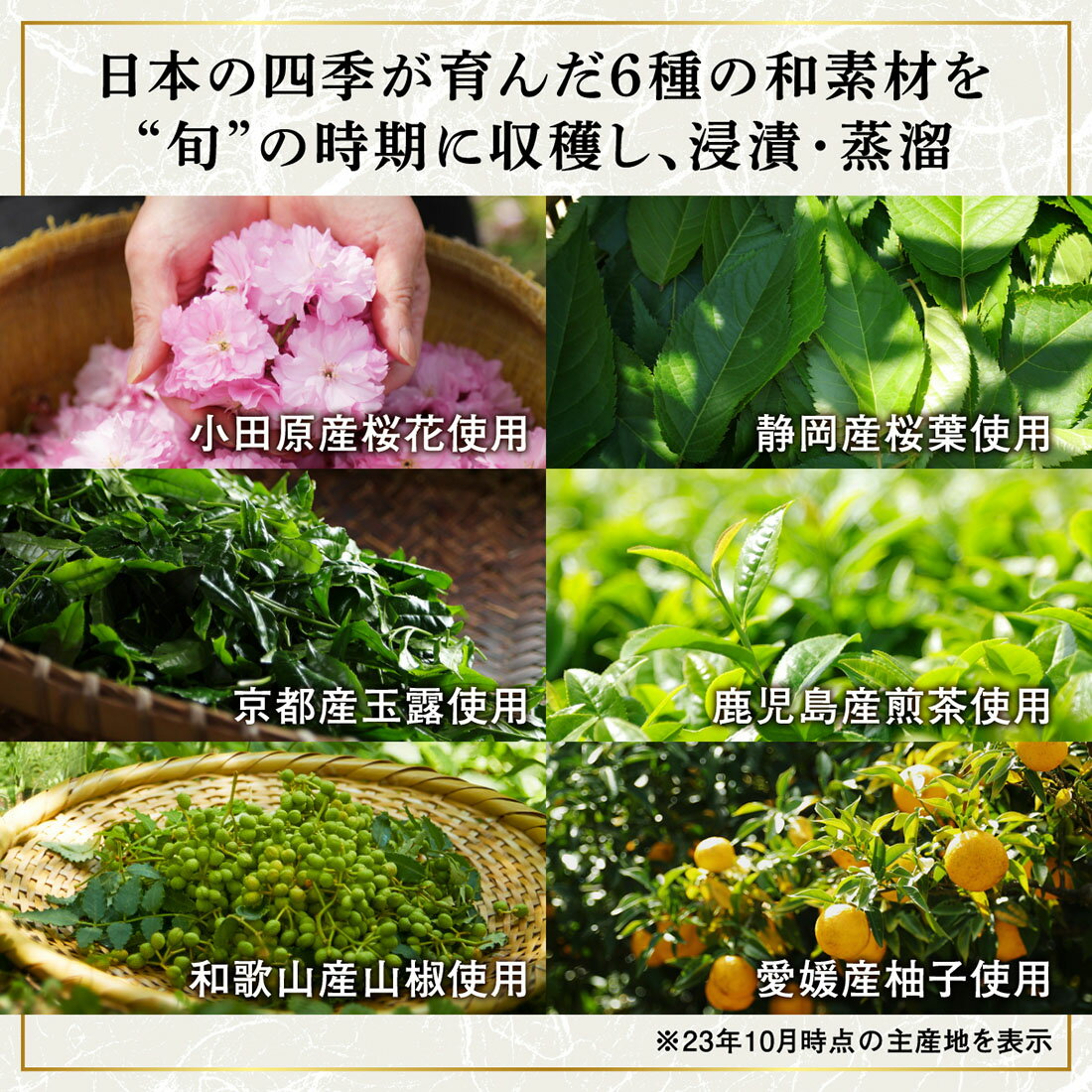 ROKU <六>ジャパニーズクラフトジン｜西友ネットスーパー｜楽天全国