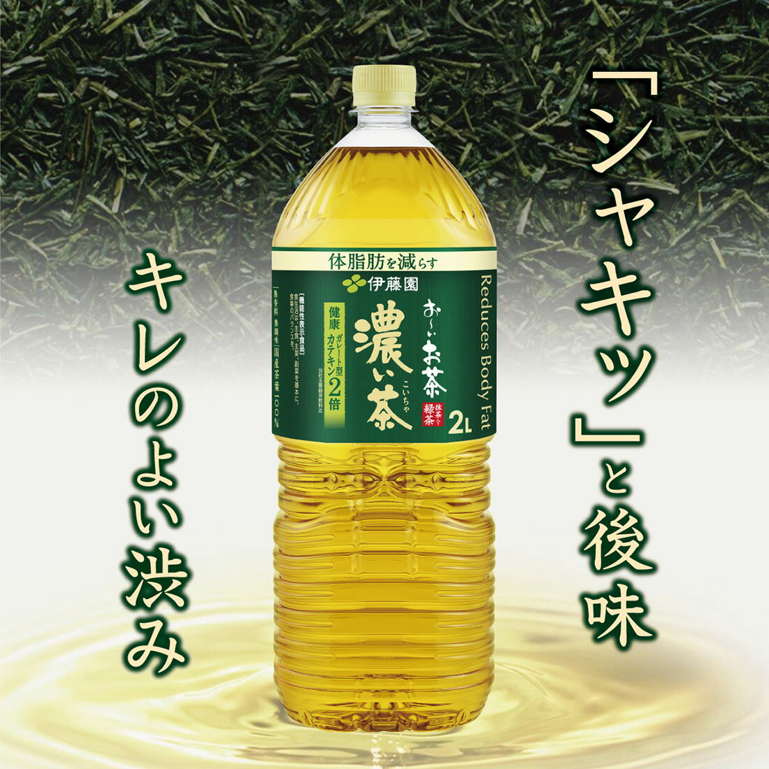 生活応援】おーいお茶 濃い茶 [機能性表示食品](8/6～9/30お届け